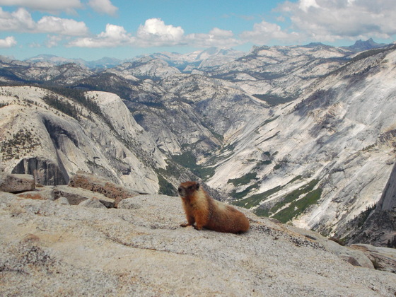 Yosemite National Park