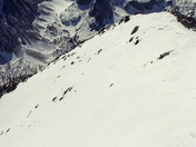 Inyo National Forest