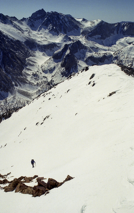 Inyo National Forest