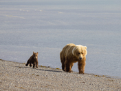 Katmai National Park