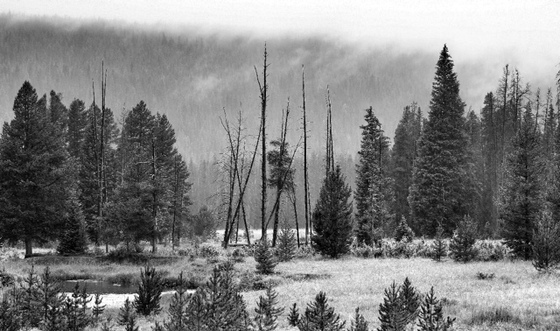 Rocky Mountain National Park
