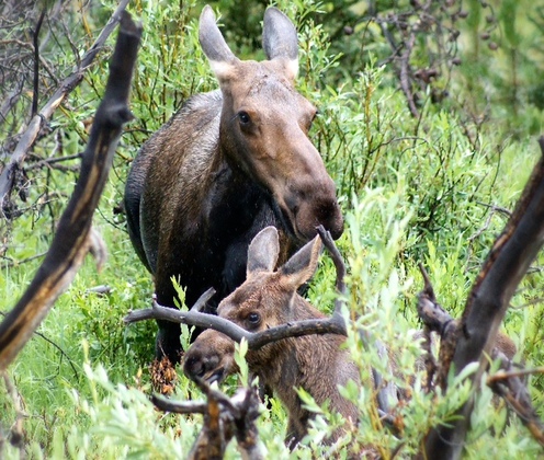 Rocky Mountain National Park