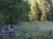 Lassen National Park