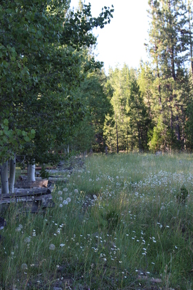 Lassen National Park