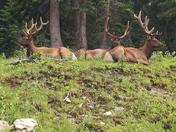 Rocky Mountain National Park
