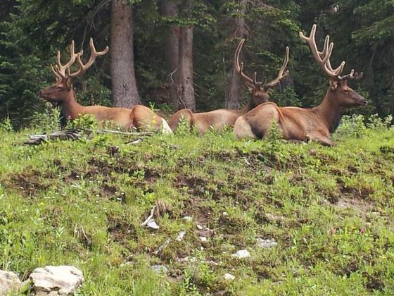 Rocky Mountain National Park