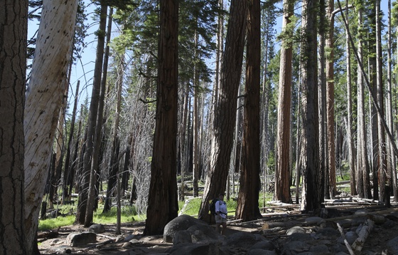 Yosemite National Park