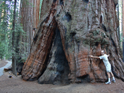 Sequoia National Park