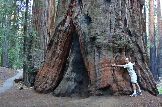 Sequoia National Park