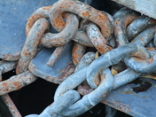 Chain Link