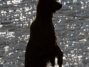 Katmai National Park