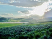 Yellowstone National Park