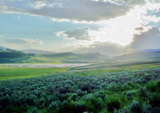 Yellowstone National Park