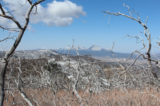 Mesa Verde National Park