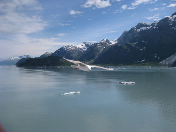 Glacier Bay National Park