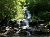 Great Smoky Mountain Nat'l Park 