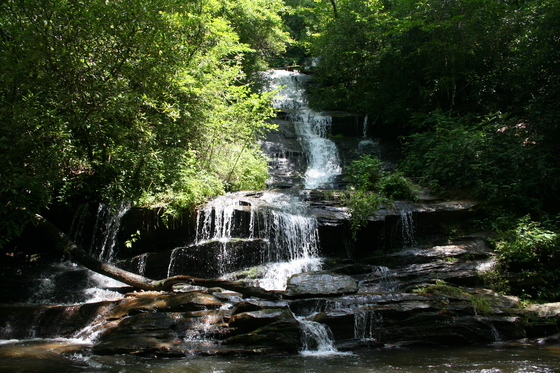 Great Smoky Mountain Nat'l Park 