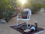 Joshua Tree National Park