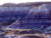 Petrified Forest National Park