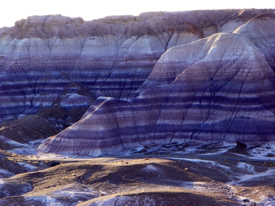 Petrified Forest National Park