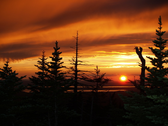 Acadia National Park