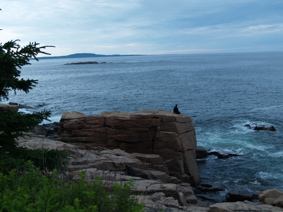 ACADIA NATIONAL PARK