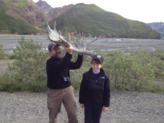 Denali National Park