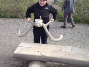 Denali National Park