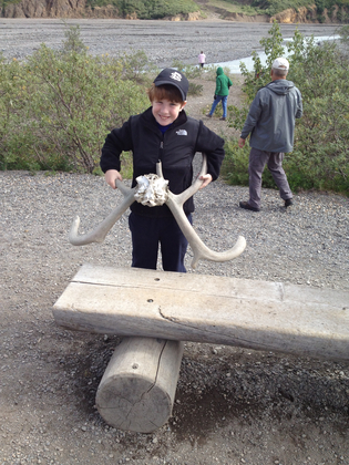 Denali National Park