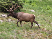 Rocky Mountain National Park 