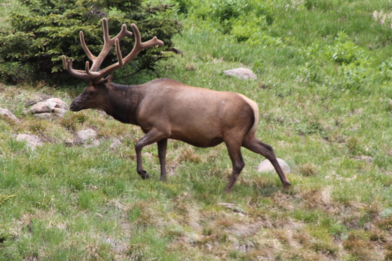 Rocky Mountain National Park 
