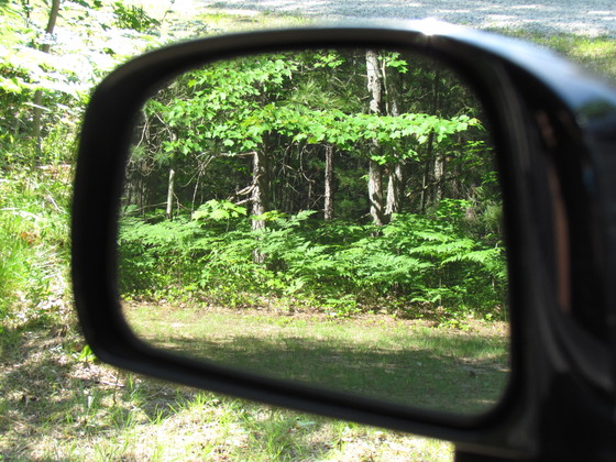 Hiawatha National Forest
