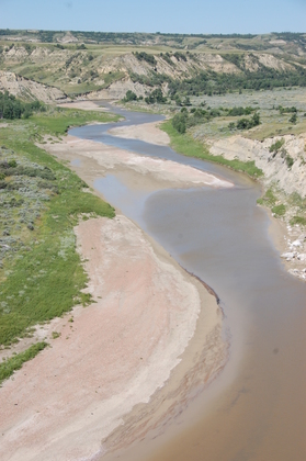 Teddy Roosevelt NP