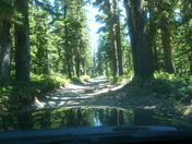 Deshutes national Forest