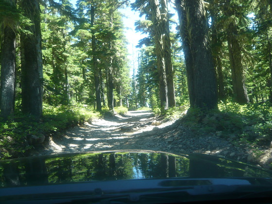 Deshutes national Forest