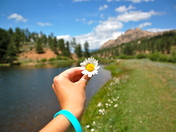 Pike National Forest