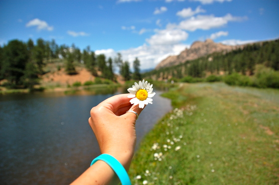 Pike National Forest