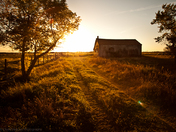 Walking Into The Light