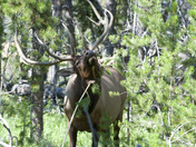 Grand Teton National Park
