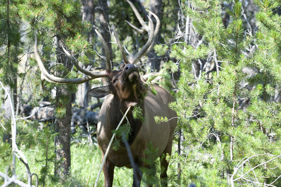 Grand Teton National Park