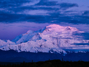 Denali National Park