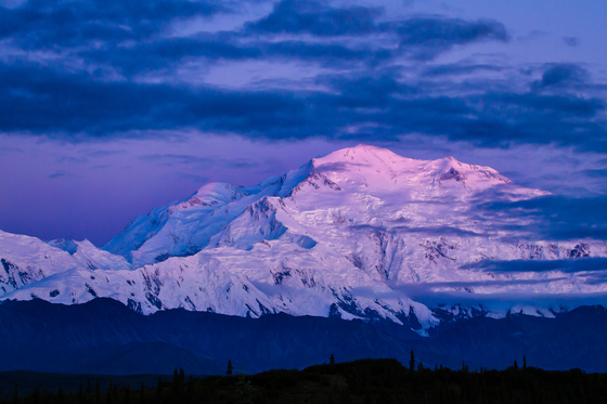 Denali National Park