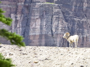 Glacier National Park