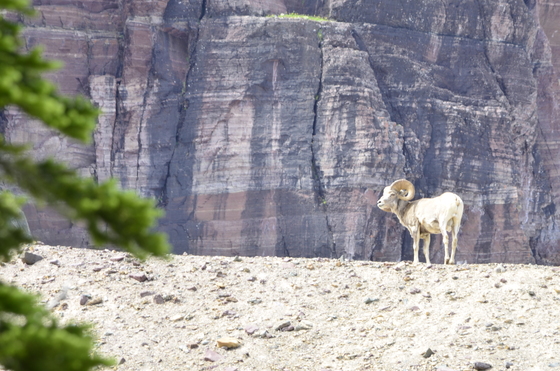 Glacier National Park
