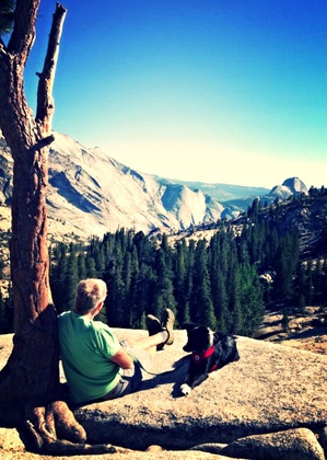 yosemite national park 