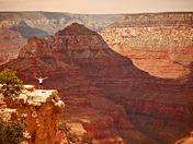 Grand Canyon National Park