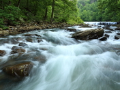 Ozark National Forest