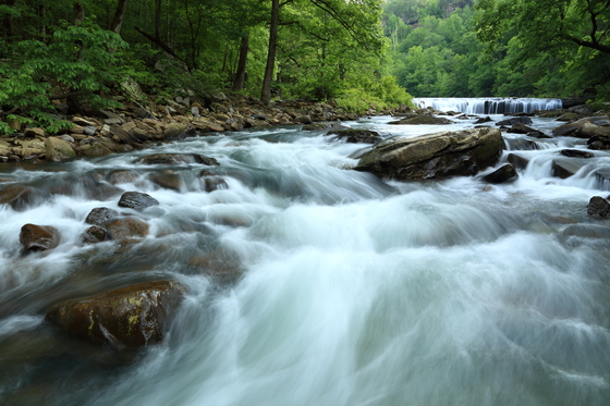 Ozark National Forest