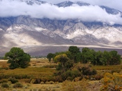 Inyo National Forest