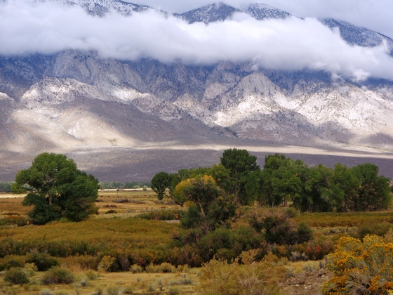 Inyo National Forest